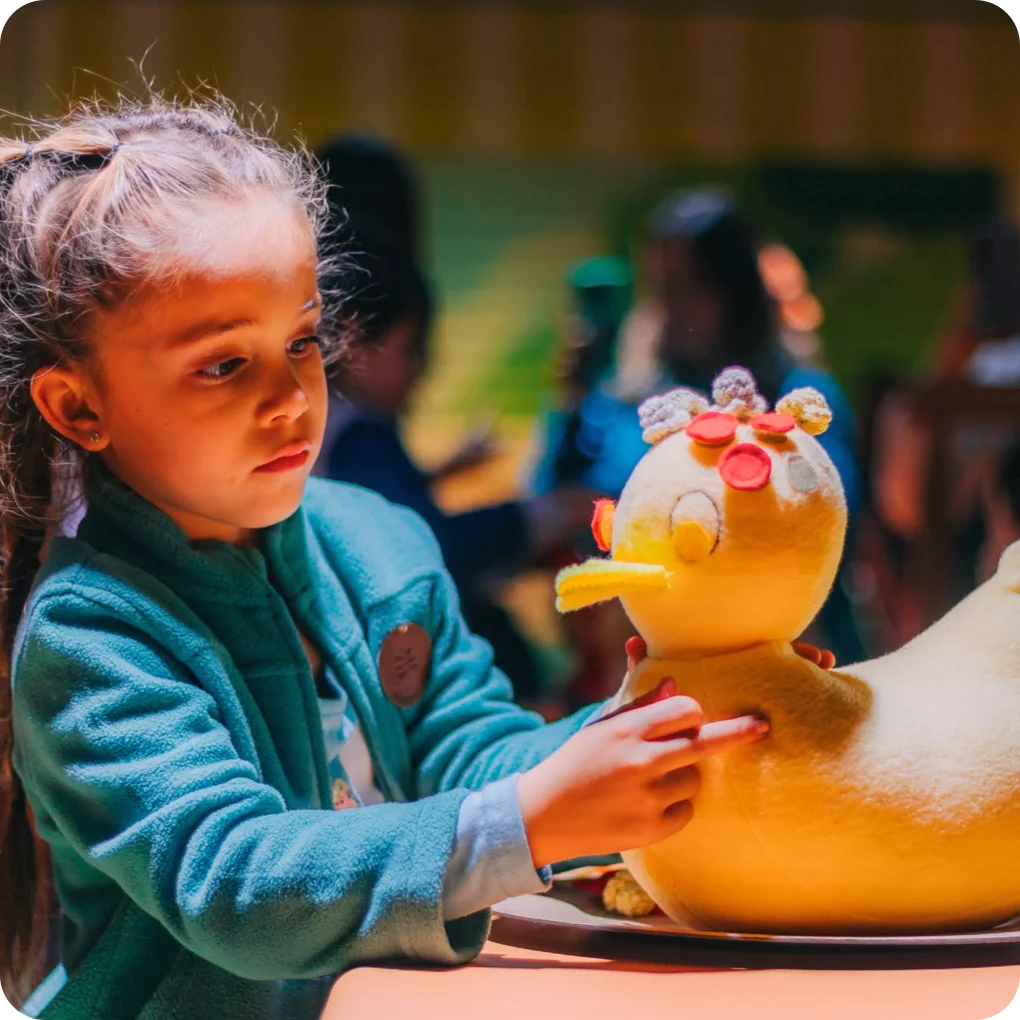 Explora la casa completa de Bluey y Bingo